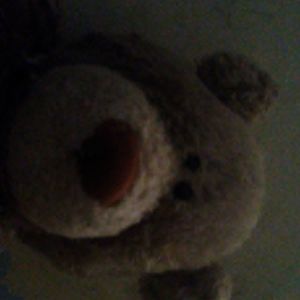 Meet your Posher, Maite